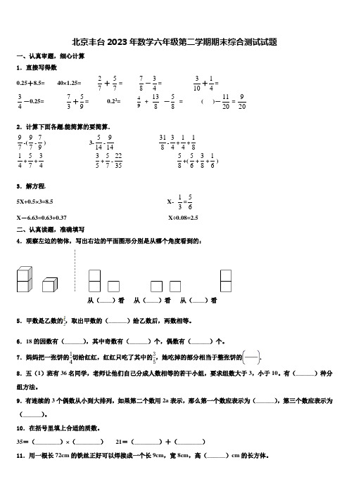 北京丰台2023年数学六年级第二学期期末综合测试试题含解析