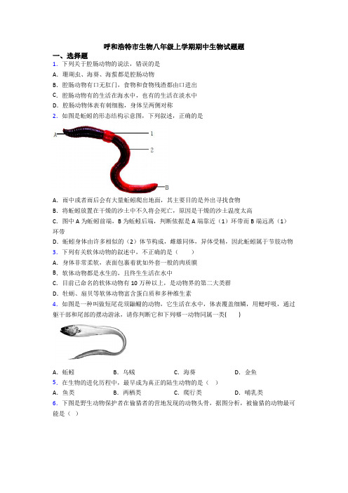 呼和浩特市生物八年级上学期期中生物试题题