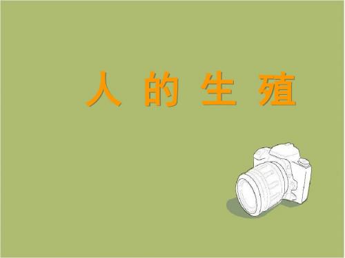 (人教版)七年级生物下册:4.1.2人的生殖ppt课件