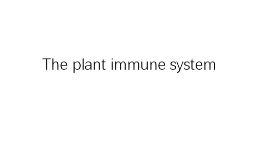 植物免疫系统 PPT课件