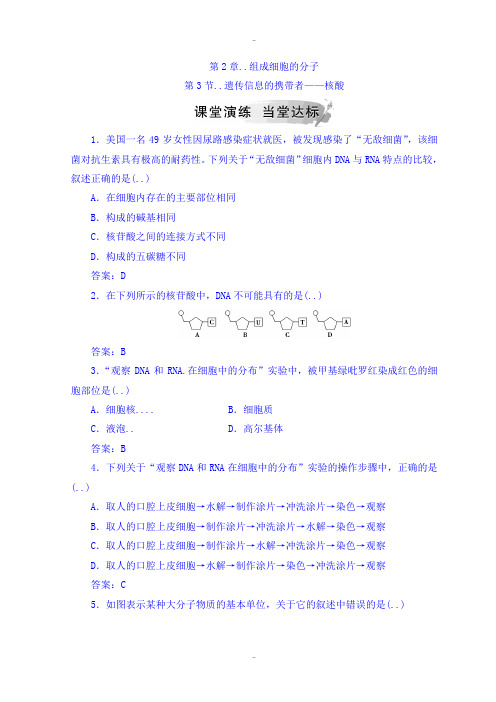 精选人教版高中生物必修一检测：第2章 第3节 遗传信息的携带者——核酸 Word人教版含答案