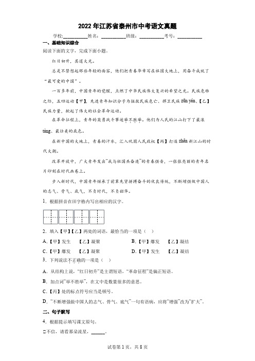 2022年江苏省泰州市中考语文真题(含答案解析)