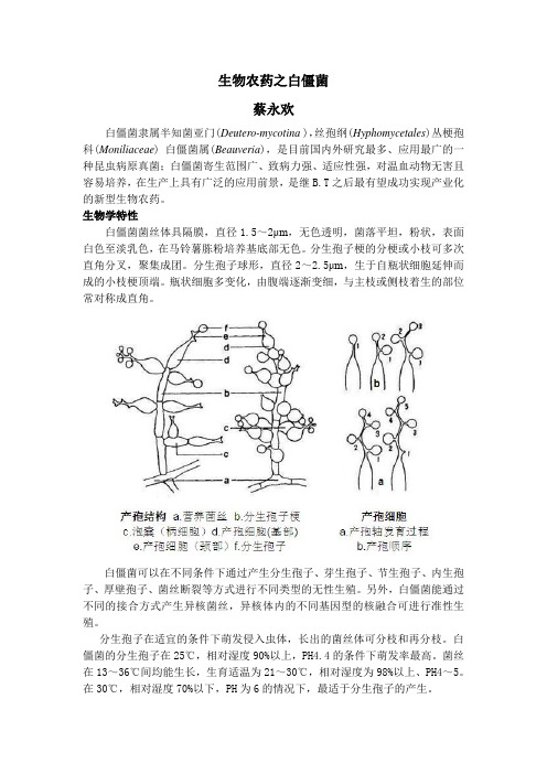 生物农药之白僵菌简介