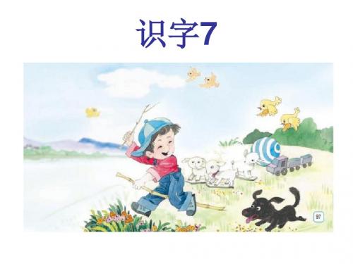 最新苏教版一上识字7