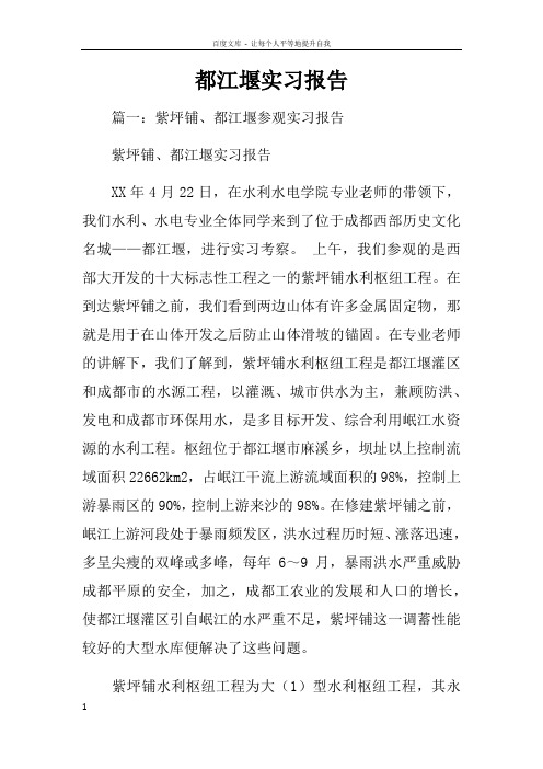 都江堰实习报告