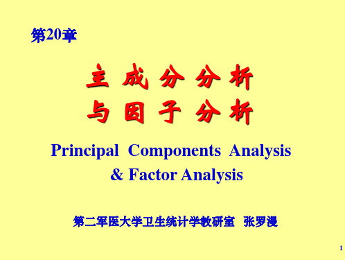 主成分分析与因子分析(第20章)