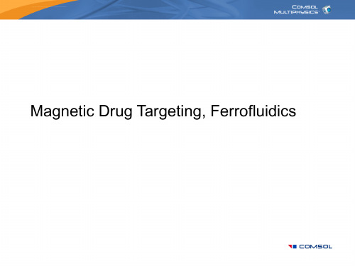 DrugTargetingFerrofluidics磁性药物靶向治疗磁流体ppt课件