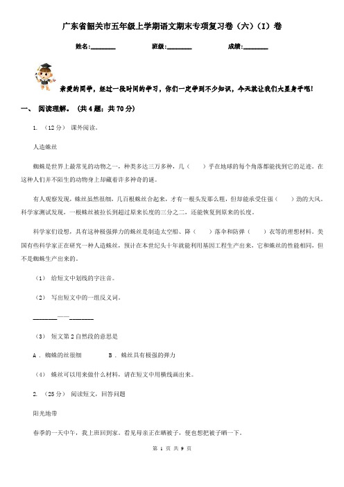 广东省韶关市五年级上学期语文期末专项复习卷(六)(I)卷