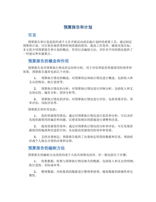预算报告和计划