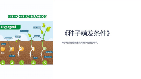 《种子萌发条件》课件