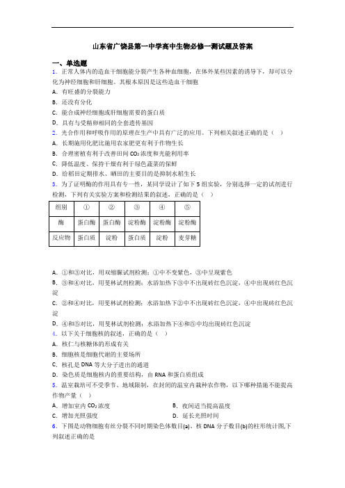 山东省广饶县第一中学高中生物必修一测试题及答案