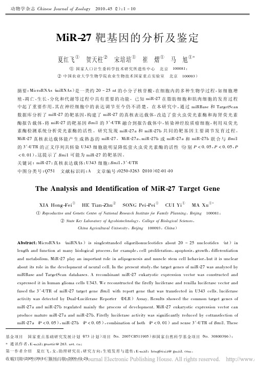 MiR_27靶基因的分析及鉴定