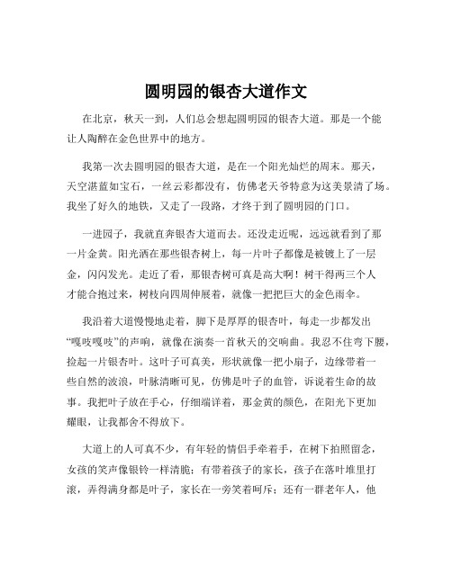 圆明园的银杏大道作文