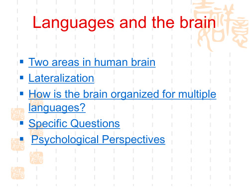5.语言和大脑language_and_brain