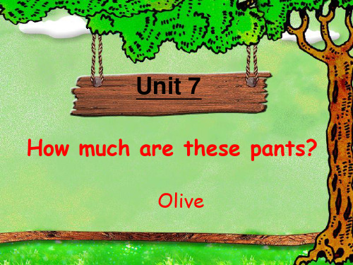 七年级英语上册 Unit7 How much are these pants课件 人教新目标版