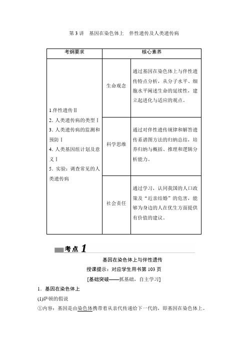 2020新课标高考第一轮总复习 生物 第6单元 第3讲 基因在染色体上 伴性遗传及人类遗传病