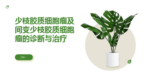 少枝胶质细胞瘤及间变少枝胶质细胞瘤诊断与治疗PPT