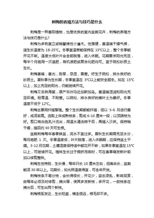 刺梅的养殖方法与技巧是什么