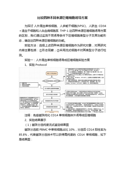 比较四种不同来源巨噬细胞诱导方案