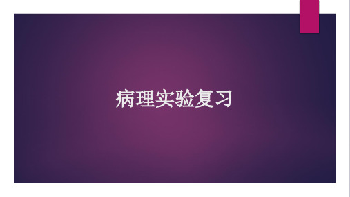 病理学实验切片标本大体标本图片考试复习资料