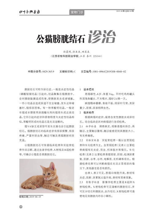 公猫膀胱结石诊治