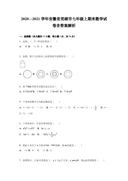 2020—2021学年安徽省芜湖市七年级上期末数学试卷含答案解析