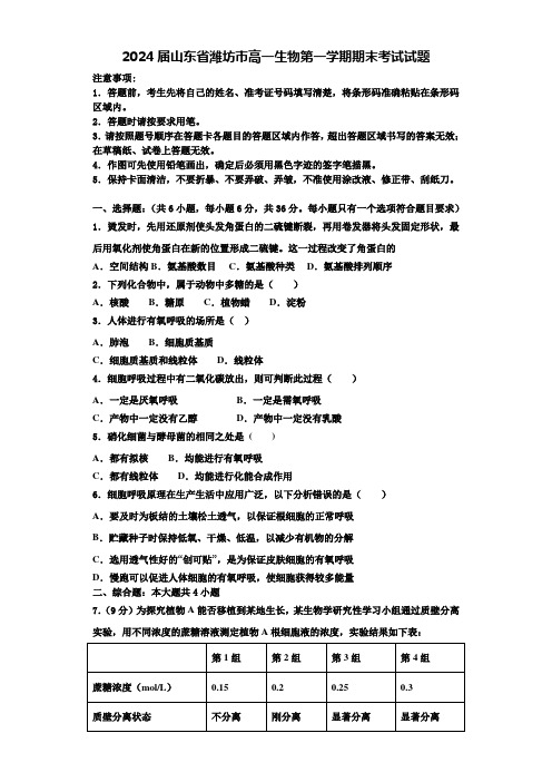 2024届山东省潍坊市高一生物第一学期期末考试试题含解析