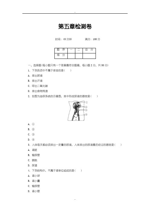 2019-2020年人教版生物七年级下册第五章  检测卷及答案