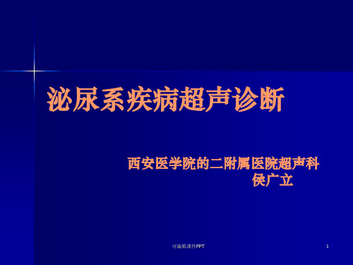 泌尿系疾病超声诊断ppt课件