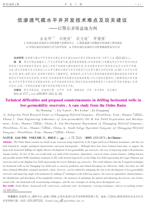 低渗透气藏水平井开发技术难点及攻关建议