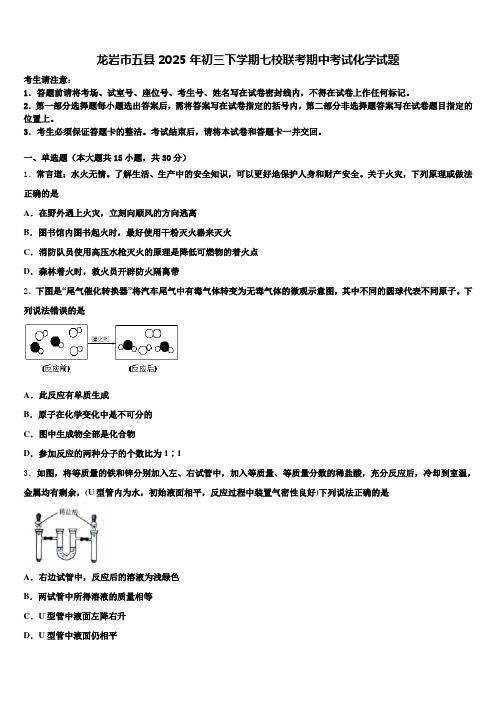 龙岩市五县2025年初三下学期七校联考期中考试化学试题含解析