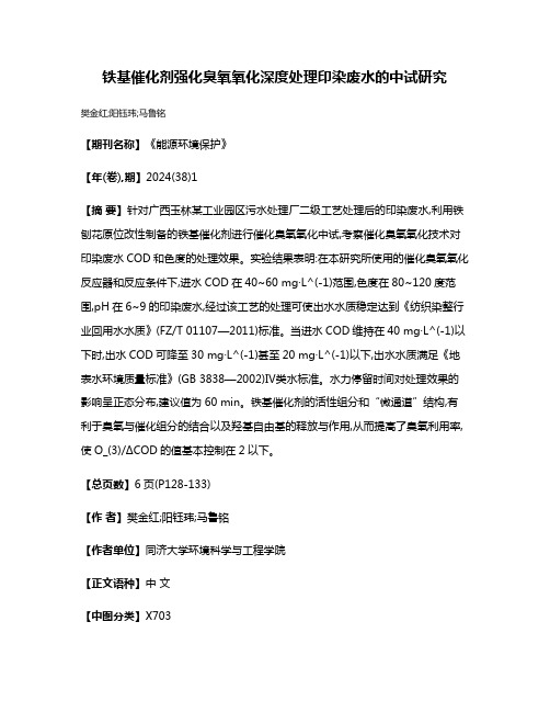 铁基催化剂强化臭氧氧化深度处理印染废水的中试研究