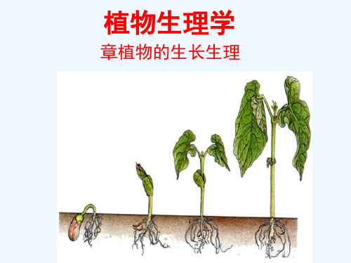 植物生理学植物生长生理