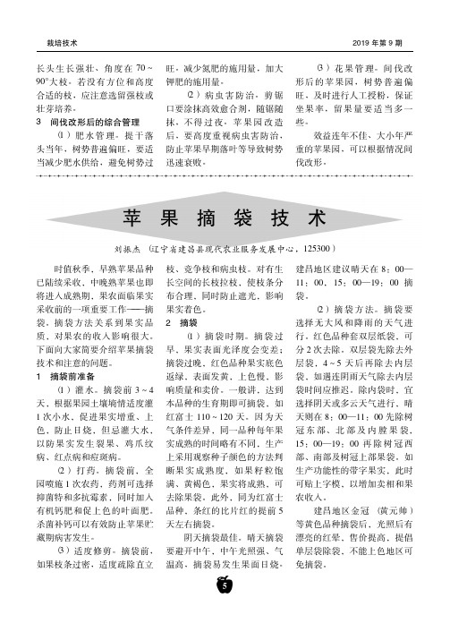 苹果摘袋技术