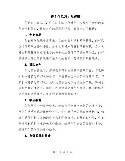 班主任见习工作评语