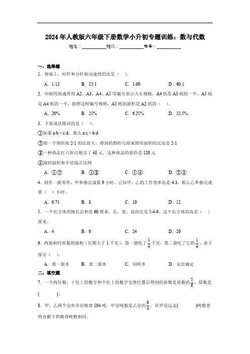 2024年人教版六年级下册数学小升初专题训练：数与代数(含解析)