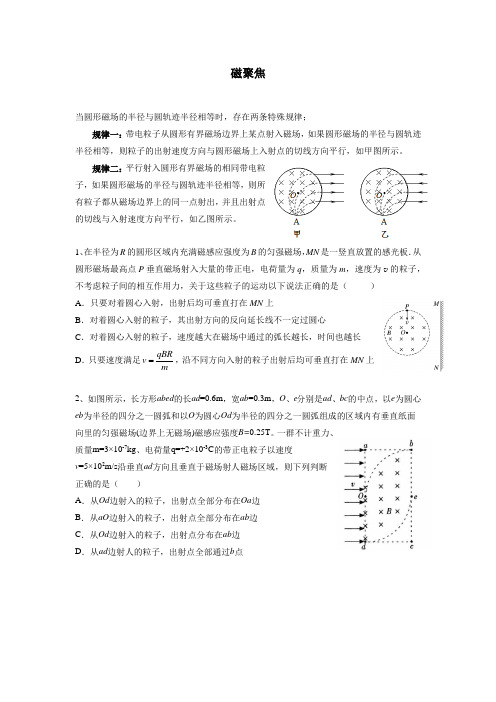 高中磁场磁聚焦(带问题详解)