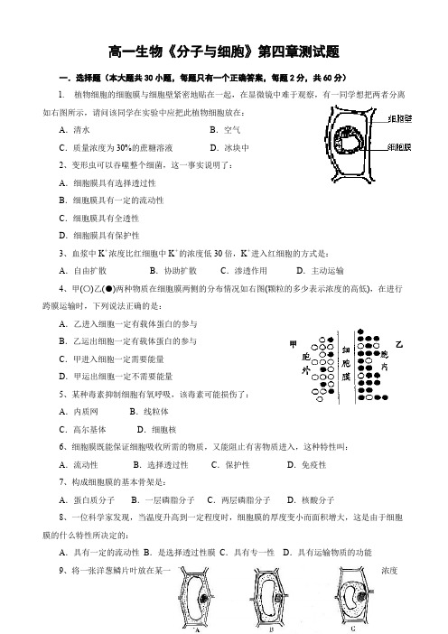 高一生物《分子与细胞》第四章测试题