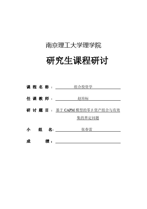 基于CAPM模型的零β资产组合与有效集的界定问题