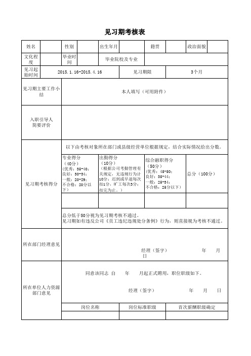 见习期考核表