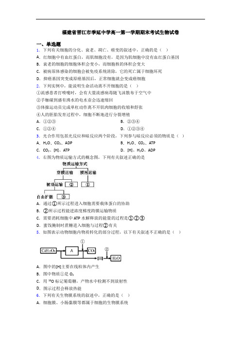 福建省晋江市季延中学高一第一学期期末考试生物试卷