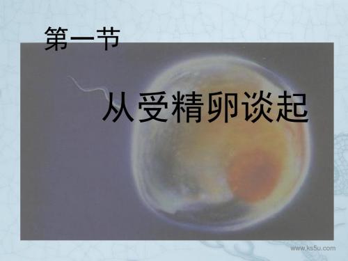 生物3.1《从受精卵谈起》课件(浙科版选修3)