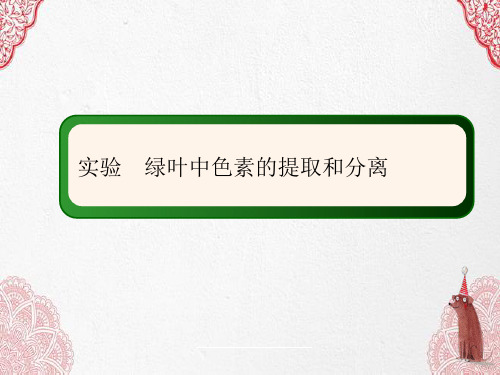 新版人教版 生物 实验绿叶中色素的提取和分离(共23张 ppt)学习演示PPT课件