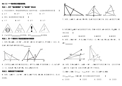 初中数学《轴对称》分类拔高训练