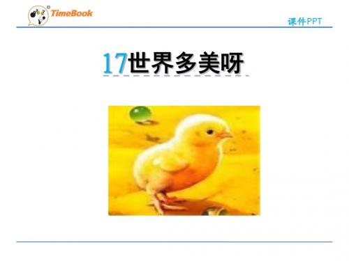 2017苏教版一年级下册17世界多美呀课件