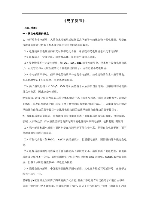 新高考化学一轮总复习讲解资料-离子反应