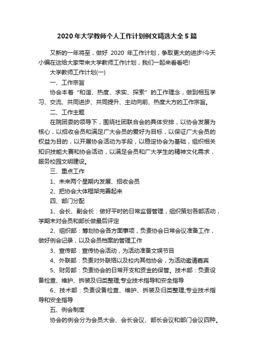 2020年大学教师个人工作计划例文精选大全5篇