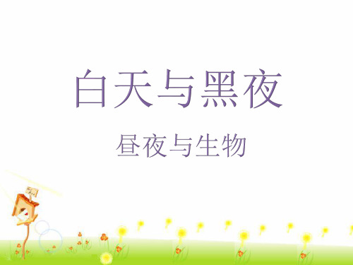 《15 昼夜与生物》课件2