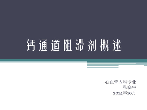 钙通道阻滞剂资料