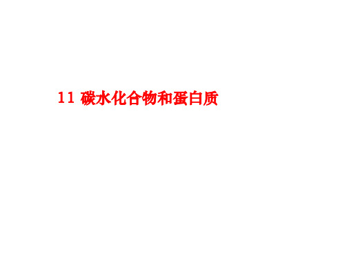 11-碳水化合物and 蛋白质